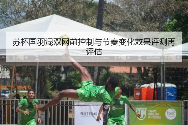 苏杯国羽混双网前控制与节奏变化效果评测再评估